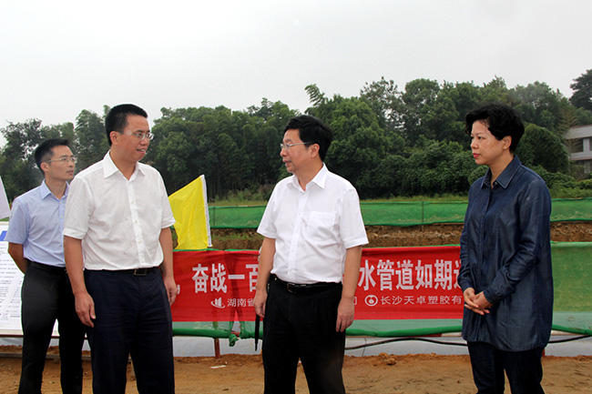 市領導張迎春、夏建平、劉明理等參加調研，望城區領導孔玉成、鄒特等陪同調研